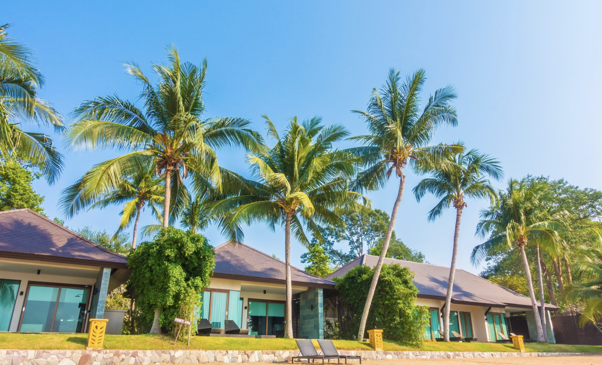 Crafting Captivating Headlines: Your awesome post title goes here